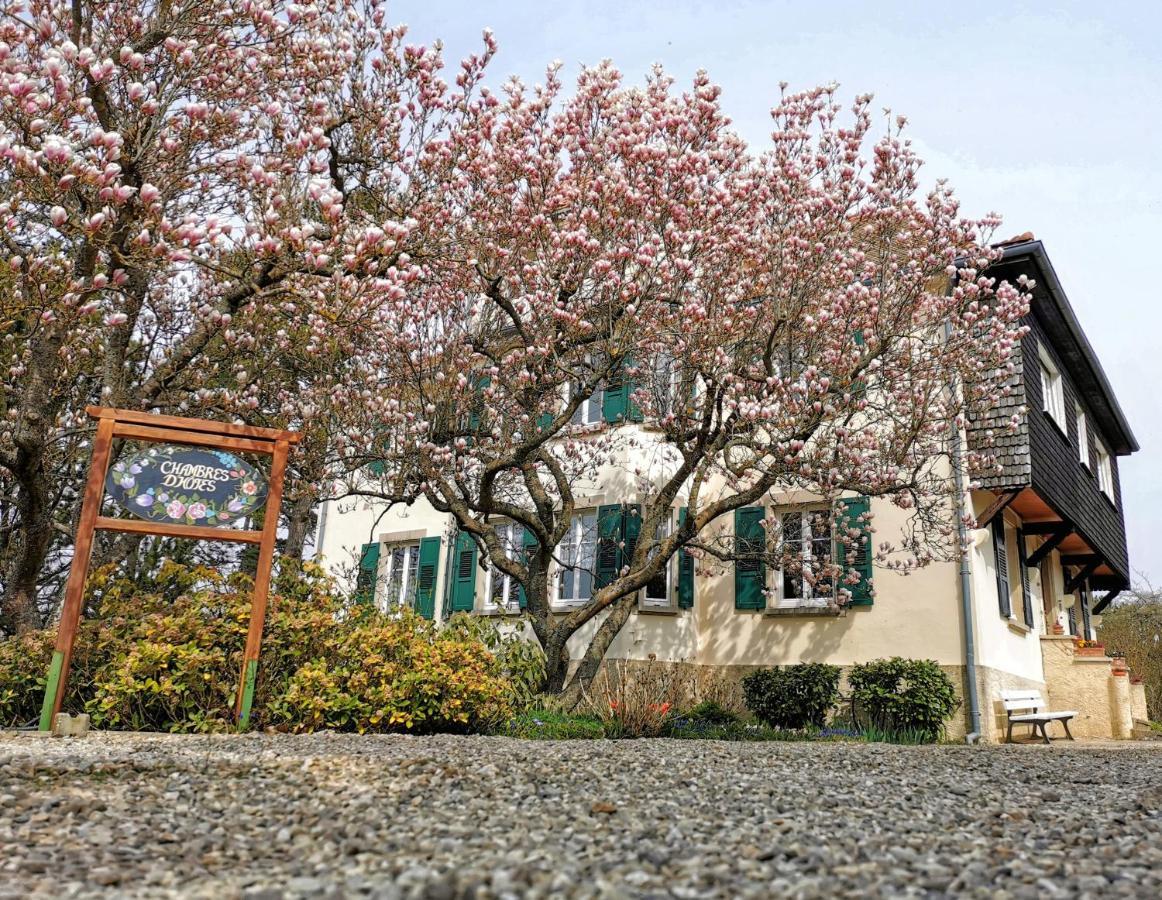 La Tirelire Bed & Breakfast Cosswiller Ngoại thất bức ảnh