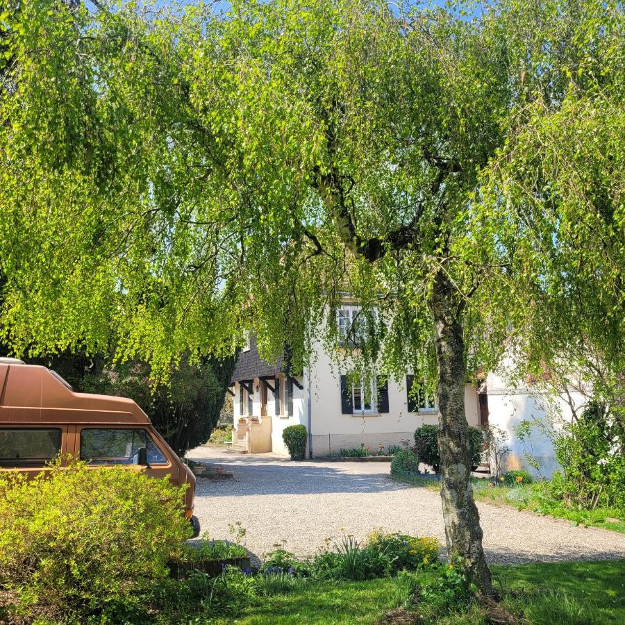 La Tirelire Bed & Breakfast Cosswiller Ngoại thất bức ảnh
